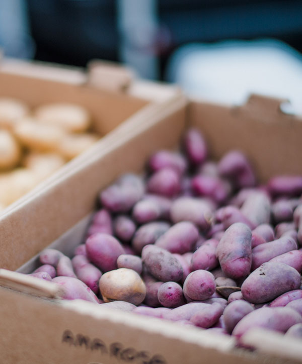 caja de alimentos de la agricultura
