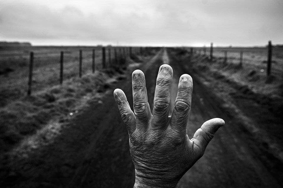 el costo humano de la agricultura-min desafíos para la agricultura - árbol secándose