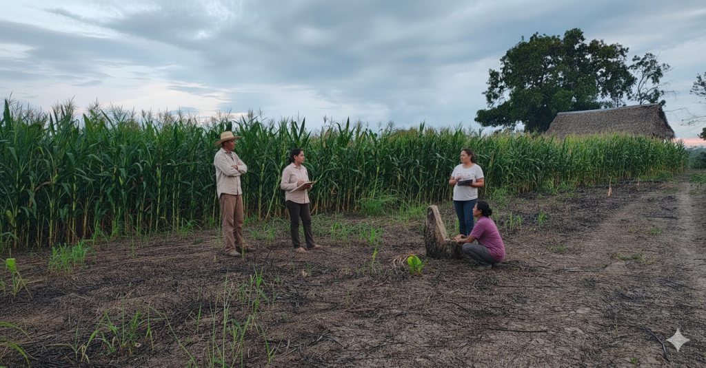 ingenieros agrónomos supervisando siembra