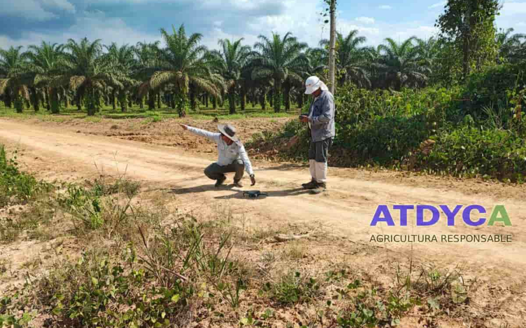 La Revolución Tecnológica en la agricultura