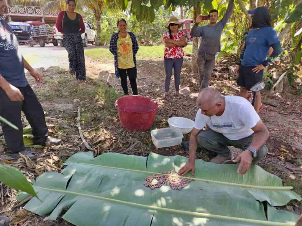 capacitando a agricultores sobre la selección de semilla de cacao