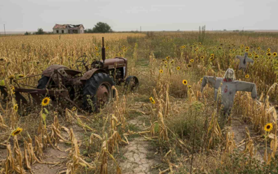 El campo vive una crisis silenciosa