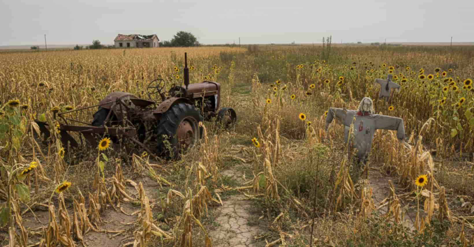 crisis silenciosa – agriculyura en abandono crisis silenciosa - campo de cultivo en abandono pr falta de presupuesto y trabajadores