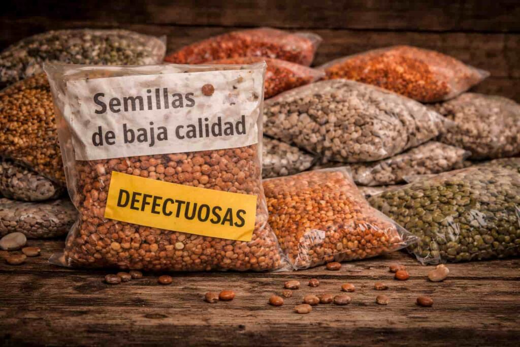agricultores empobrecidos, semillas de baja calidad