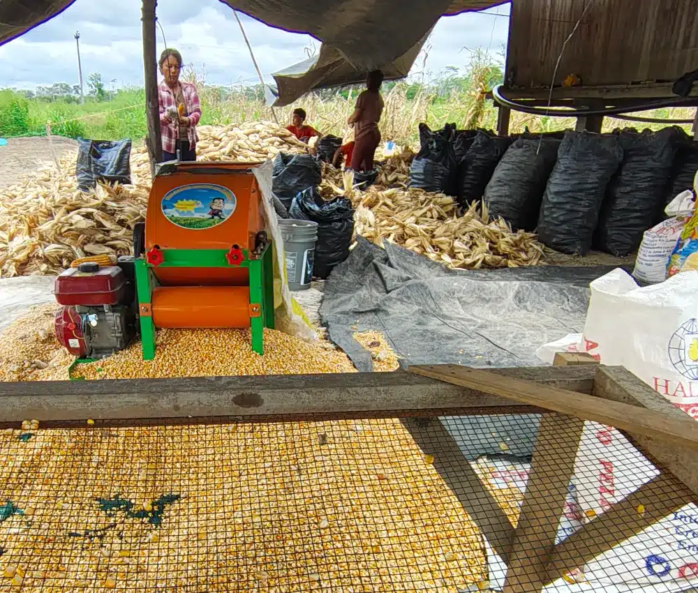 tecnificacion agricola